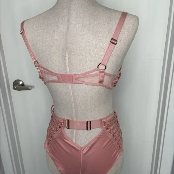 Honey Birdette Jerry Bra, Brief, and garter Blush Pink Bra Full Set - Picture 4 of 12